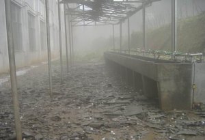 福建邵武市2010年3月5日下午遭受罕見冰雹襲擊