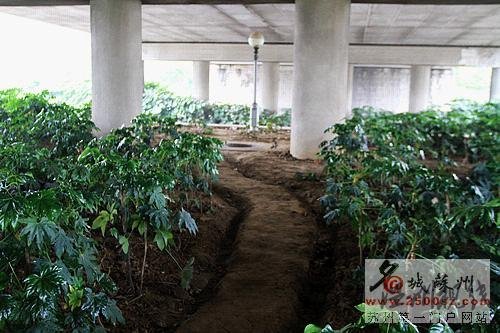 組圖：蘇州男子蝸居井下 門板寫滿哀嘆語句