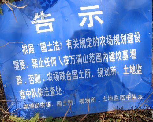 廣東一農場建150座豪墓成