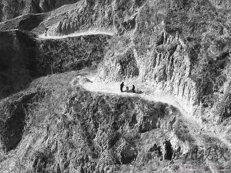 剽竊者將照片旋轉后獲國際攝影大賽特等獎(圖)