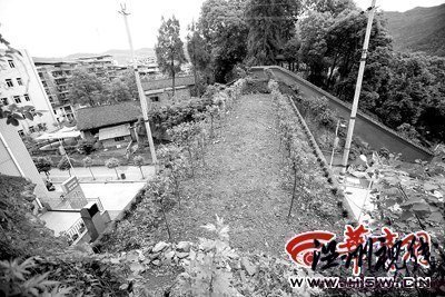國家級貧困縣花巨資建4座橋短期內均成危橋