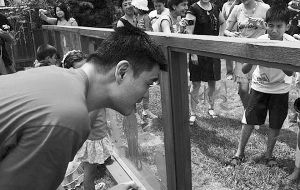 奶爸姚明自曝?fù)Q尿布很拿手 下賽季依然效力火箭