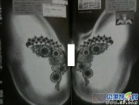 酒井法子紋身—股間私密處紋身被日媒曝光