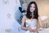 第十五屆全球華語榜