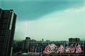 龍津中路一棵大樹被狂風(fēng)刮倒,壓在出租車上。