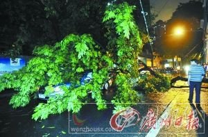 廣州:傍晚閃電300次