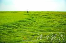 干旱天氣持續 未來一周仍無降水三峽水庫補水只能再