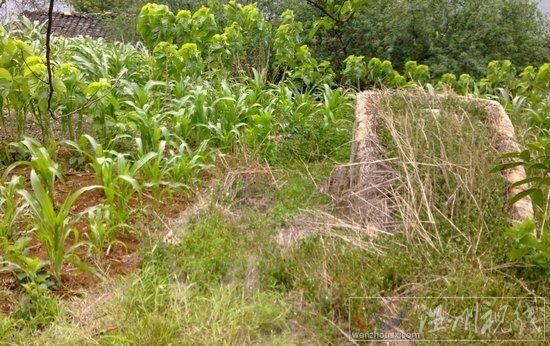 云南高院副院長：&ldquo;賽家鑫&rdquo;案十年后將成標桿