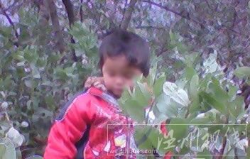 年僅3歲的王家紅也沒能幸免（資料圖片）。來源：生活新報