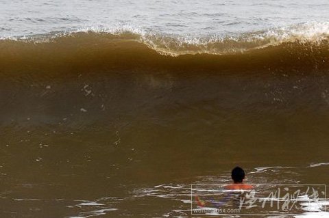 &ldquo;梅花&rdquo;將至 山東發布臺風黃色預警