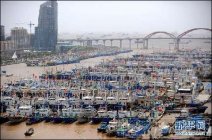 梅花來襲 山東10多艘漁船失去聯系