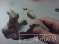 文成一男子建房時挖出奇怪石頭