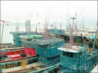 “梅花”逼近　青島已做好防御 海底隧道可能關閉