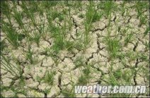 遵義干旱 持續(xù)高溫少雨旱情發(fā)展 100萬余人飲水困難