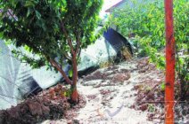 村民偷挖地道直通市政府意外被發(fā)現(xiàn) 吉林村民挖地道