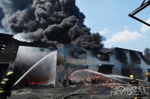 蒼南靈溪鎮(zhèn)塑編企業(yè)廠房火災(zāi) 辦事處主任周伙芬被停