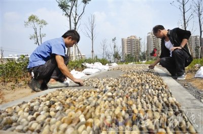 楊府山城市公園