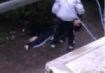 樂清白象中學一男生跳樓身亡 樂清白象中學跳樓學生