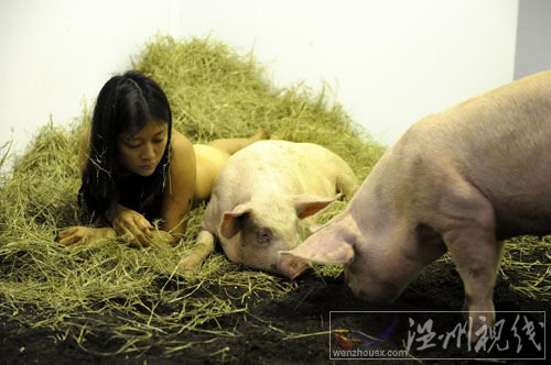 女行為藝術家玩另類：與豬裸睡