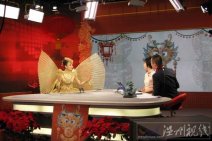 薩頂頂春晚禮服造型驚艷 2012春晚薩頂頂被評最美女