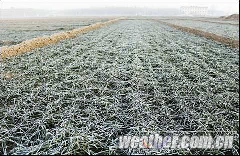 河北天氣晴冷干燥 未來一周多弱冷空氣