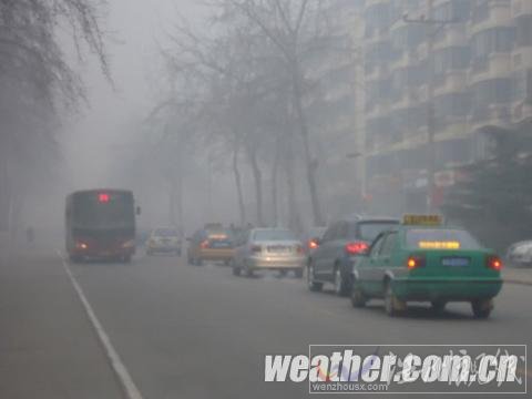 “三九”伊始 河北低溫大霧持續(xù)交通受阻