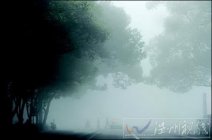 武漢31日大霧 多條高速全線封閉使客運(yùn)和機(jī)場(chǎng)航班延