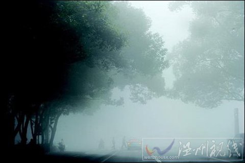 武漢31日大霧彌漫 17條高速封閉航班大面積延誤