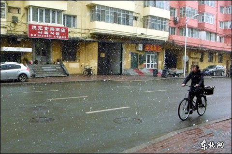 入春哈爾濱好大雪(組圖)