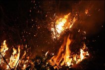 湖南漣源森林大火 起火原因村民燒紙錢引起清明節(jié)注