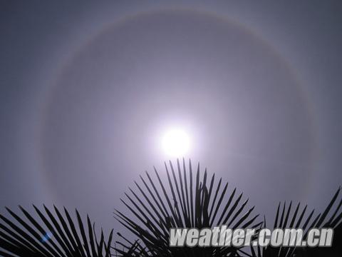 河南舞陽(yáng)現(xiàn)美麗日暈奇觀