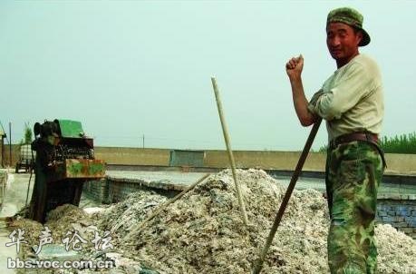 廢皮革提煉出的明膠