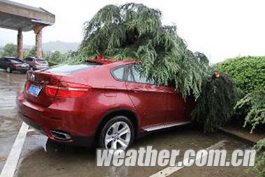 臺風海葵登陸臺州三門 臺州臺風海葵