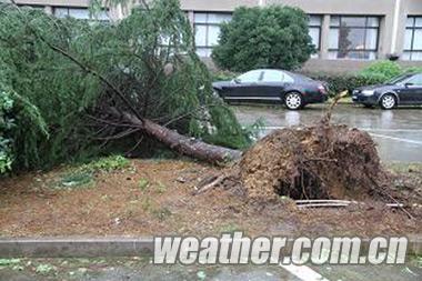 臺風海葵登陸臺州三門 臺州臺風海葵