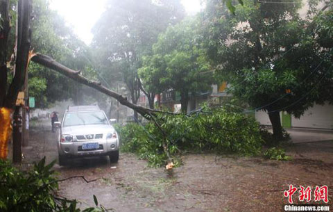 臺風啟德影響 已致防城港1人死亡2人失蹤 防城港臺風最新災情