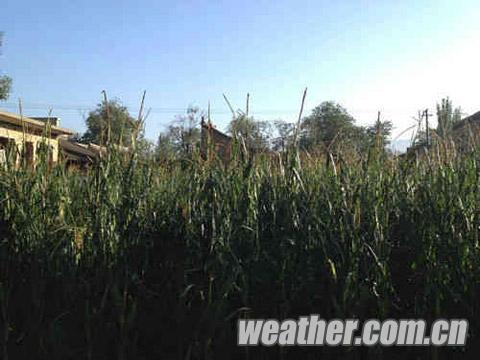 甘肅省武山遭遇強(qiáng)雷陣雨冰雹襲擊 多個(gè)鄉(xiāng)鎮(zhèn)受災(zāi)