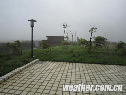 臺風啟德登陸最新消息 臺風實時動態