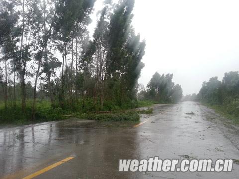 臺風啟德登陸最新消息 臺風實時動態