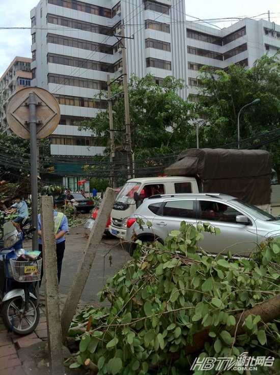 佳木斯刮臺風(fēng)