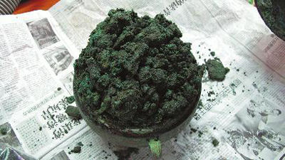 戰(zhàn)國(guó)牛肉