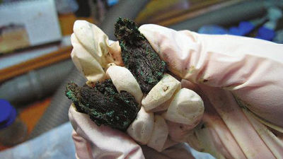 戰(zhàn)國(guó)牛肉