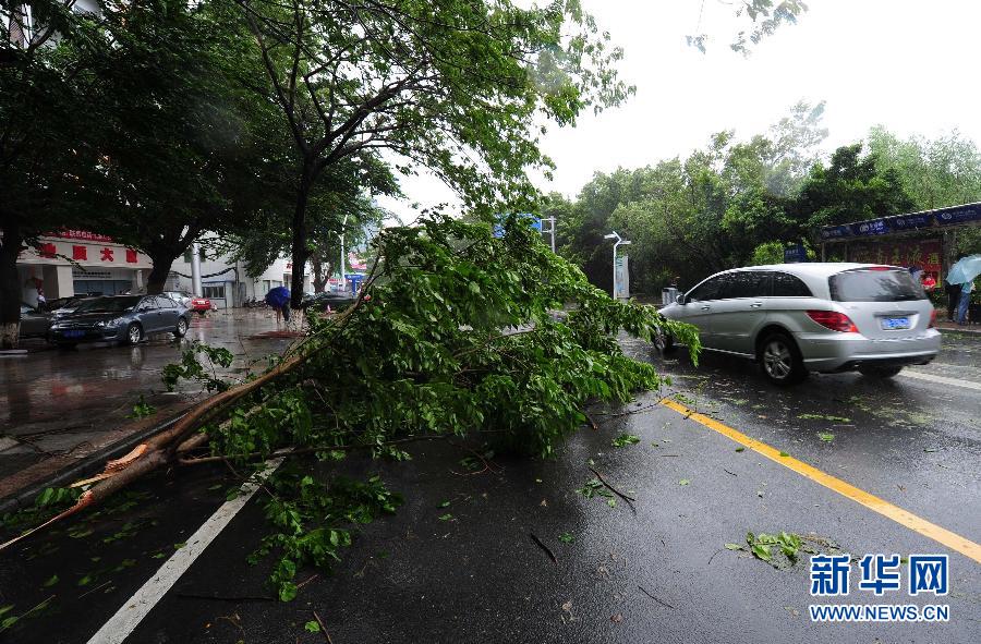 海南三亞臺風(fēng)山神