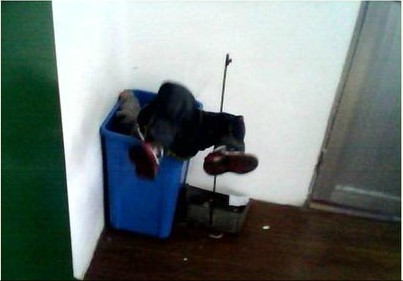 浙江溫嶺虐童女幼師顏艷紅QQ空間顏虐童照片