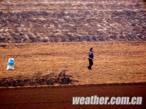 近日河北天氣晴朗 農(nóng)民忙著秋收秋種
