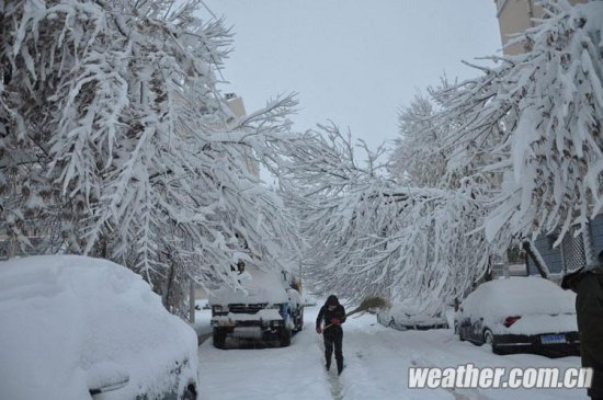 北京大雪 11月4日北京多地下大雪延慶佛爺頂降雪量最大51毫米