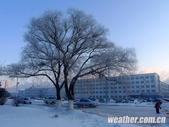 大慶霧凇美景