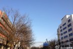 北京今日天氣晴轉陰 有北風最高氣溫為-3℃