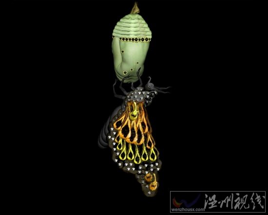 人體藝術(shù)攝影作品欣賞