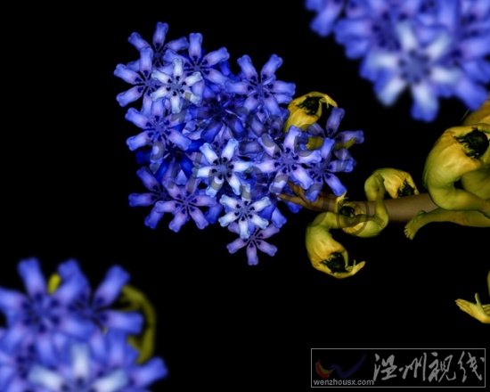 人體藝術(shù)攝影作品欣賞