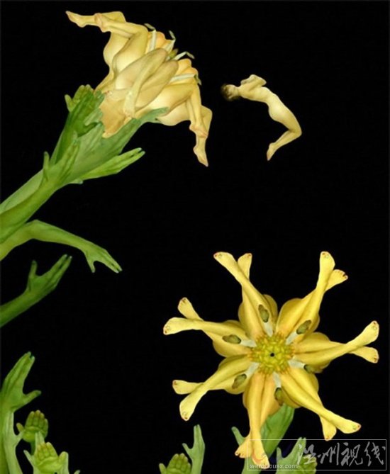 人體藝術(shù)攝影作品欣賞